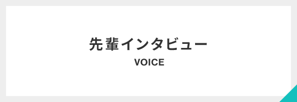 先輩インタビュー