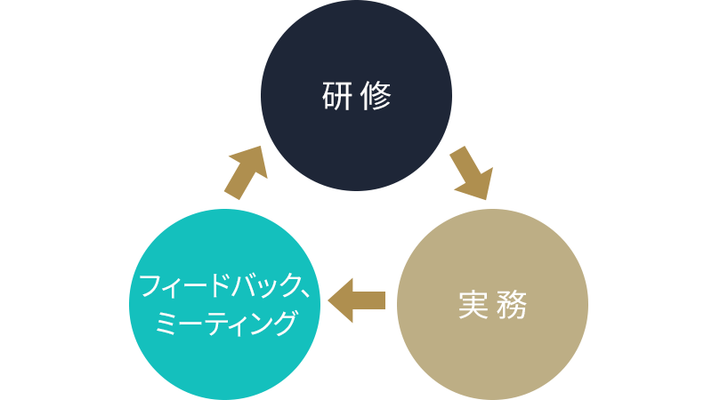 研修 ▶ 実地 ▶ フィードバック／ミーティング